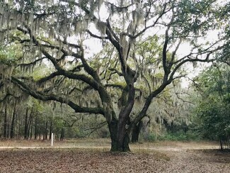 30-B Pawlette Blake Ln, Wadmalaw Island, SC 29487