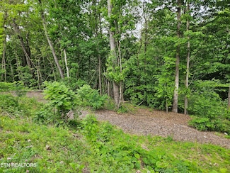 0 Whitman Hollow Rd Unit 1271817, Lafollette, TN 37766