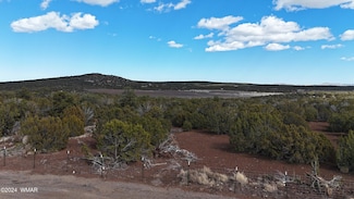 71 N8225, Concho, AZ 85924