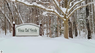 2050 Schuss Mountain Dr Unit 301, Bellaire, MI 49615