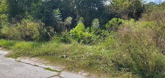 0 Sebring Ct, Poinciana, FL 34759