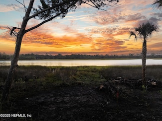 946 S Harbor Lights Dr, Nocatee, FL 32081