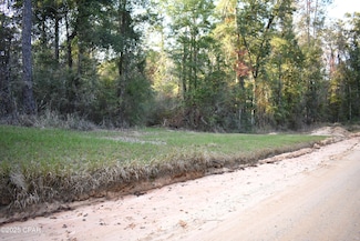 Lot 1 Lakeview Rd, Caryville, FL 32427