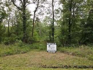 TBD George Thomas Rd, Evadale, TX 77612