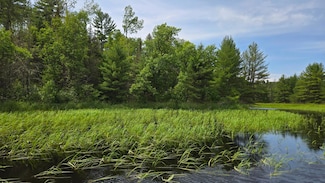 TBD 40 N Rollick Creek, Crane Lake, MN 55725