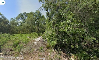 0 Fisher Pass Unit 1059593, Silver Springs, FL 34488