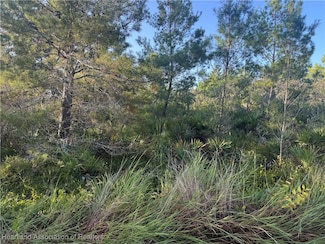 206 Oriole Ave, Sebring, FL 33870