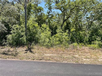 5437 W Cinnamon Ridge Dr, Lecanto, FL 34461