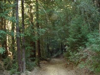 0 Bear Creek Rd Unit ML81978020, Los Gatos, CA 95033