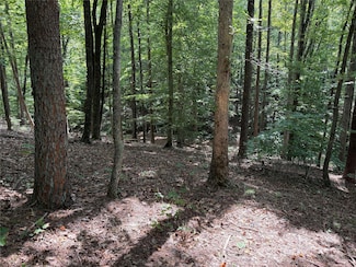 0 Mountain Brook Trail Unit 298, Nebo, NC 28761