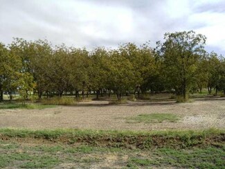 645 Clint-San Elizario Rd, Clint, TX 79849