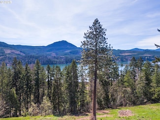 580 Sunridge Ln, Lowell, OR 97452