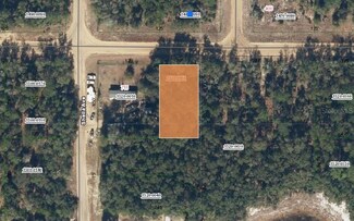 7XX Shirley St, Interlachen, FL 32148