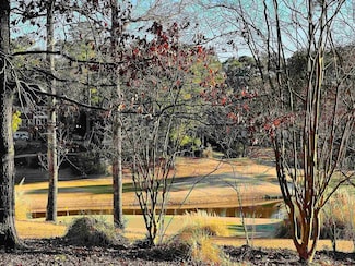 1010 Emerald View Dr, Greensboro, GA 30642