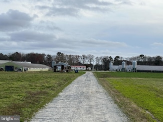 0 Thornton Ln, Temperanceville, VA 23442