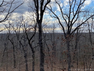 Tract 121, 122, 123 Lake Ridge Rd, Osage Township, MO 65072