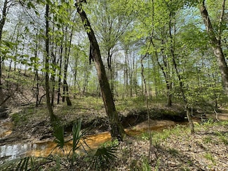 1 Crews Ln, Crystal Springs, MS 39059