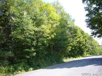 4 Peckham Rd, Watson, NY 13367