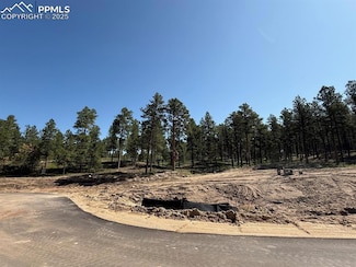 14190 Allen Ranch Rd, Black Forest, CO 80908