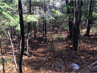 6 Eaton Rd, Conway, NH 03818