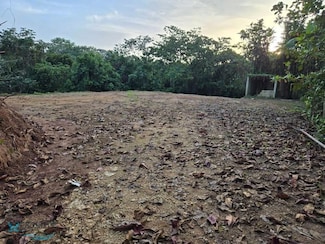 Carrt 602 Sector El Corcho Angeles, Utuado, PR 00641