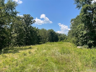 0 County Road 478, Beaver Dam Township, MO 63901