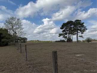 4577 E Liza Knowlton Dr, Inverness, FL 34452