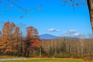 59 Aqueduct Way, High Falls, NY 12440