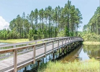 0 Torrey Pine Trail Unit A4522431, Wewahitchka, FL 32465