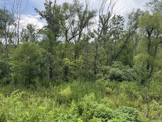 0 Factory Creek Rd, Ethridge, TN 38456