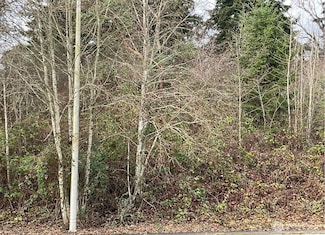 6016 S Tyler St, Tacoma, WA 98409