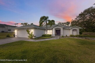 14173 Nugent Cir, Spring Hill, FL 34609