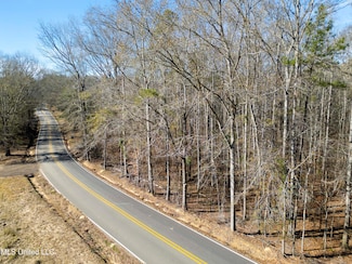 0 Old Enochs Rd, Florence, MS 39073