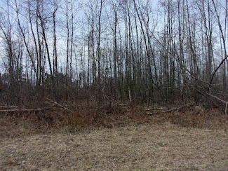 ON Krake Rd, Townsend, WI 54175