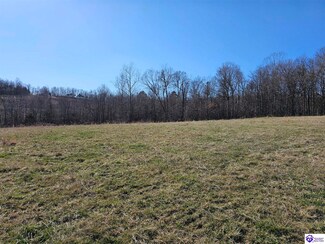 Tract 4 Troutman Ln, Clarkson, KY 42726