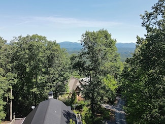 0 Bald Eagle Path Unit 23734525, Cleveland, GA 30528