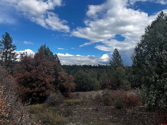 1146 Harvard Ave, Pagosa Springs, CO 81147