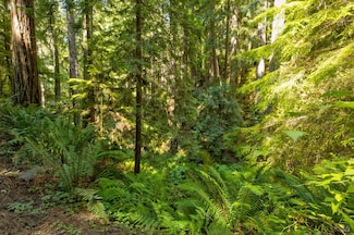33170 Frog Pond Rd, Little River, CA 95456