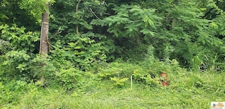 0 Catholic Hill Rd, Bonnieville, KY 42713
