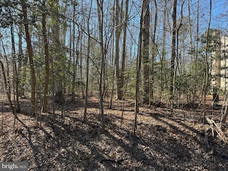 Lot 2378 Brigantine Blvd, Greenbackvile, VA 23356