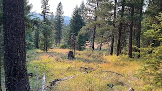 TBD Tamarack View Dr, New Meadows, ID 83654