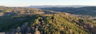 2 WEST Dry Pond Rd, Ranger, GA 30734