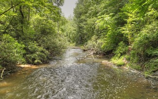 488 Whispering Pine Ln, Cherry Log, GA 30522