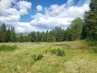 258XX Bridgeman-Rettinger Rd, Kettle Falls, WA 99141