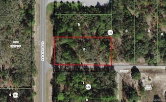 5039 N Elkcam Blvd, Beverly Hills, FL 34465