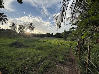 Carr. 306, Km. 1.6 Bo París, Lajas, PR 00667