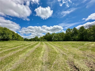 N297 197th St, Maiden Rock, WI 54769
