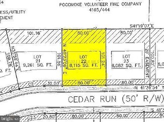 1405 Cedar St, Pocomoke City, MD 21851