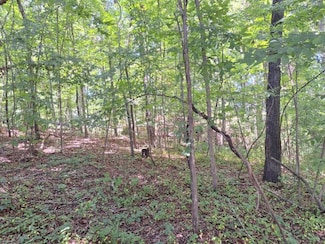 0 Devin St, Lawrenceburg, TN 38464