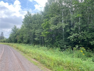 ON Right of Way Rd, Butternut, WI 54514